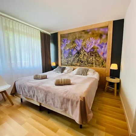 Homestay Lesna