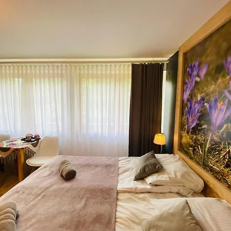 Lesna Privatunterkunft Zakopane